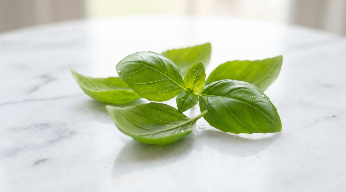 Basil (The Micro-Inflammation Guard)