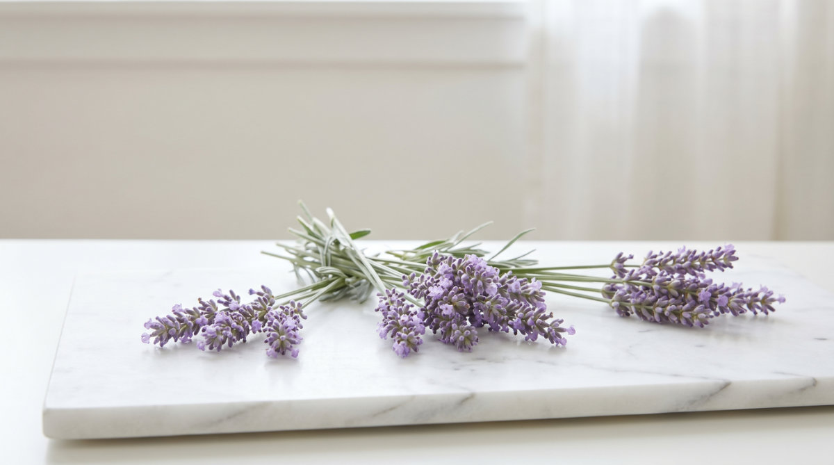 Lavender (The Cortisol Balancer)