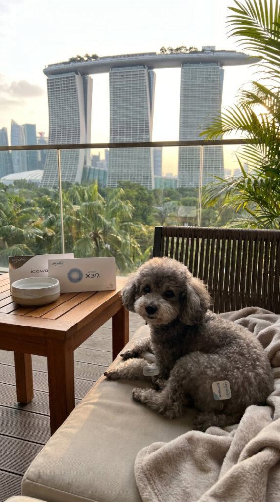 LifeWave Phototherapy Patches for Senior Pets