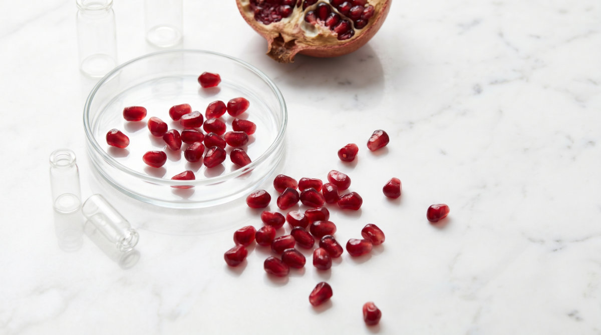 Pomegranate (The Cellular Recycler)