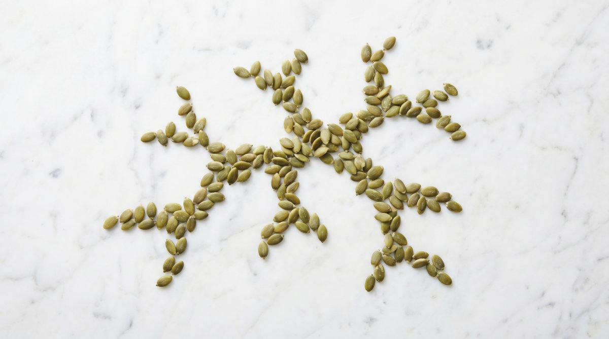 Pumpkin Seeds (The Sarcopenia Defense)